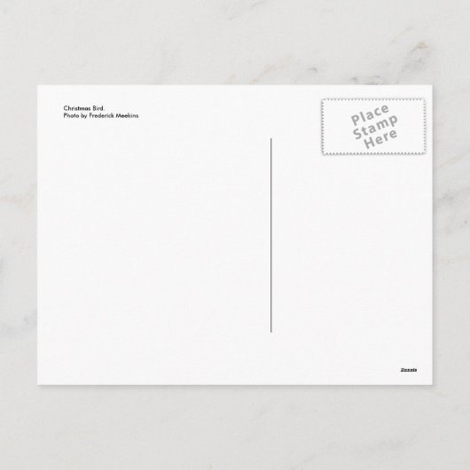 kerstvogel feestdagenkaart (Achterkant)