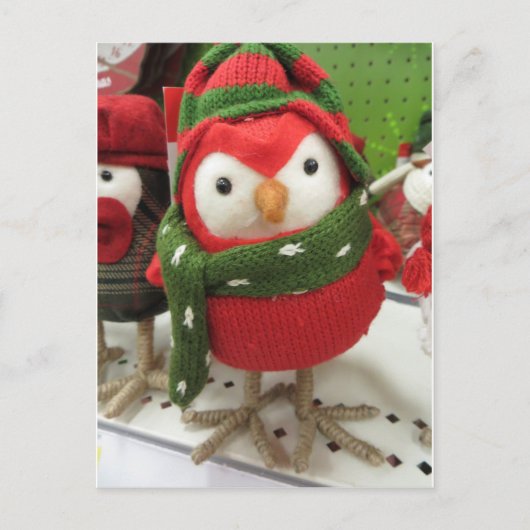 kerstvogel feestdagenkaart (Voorkant)