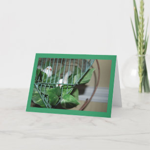 kerstvogels feestdagen kaart