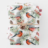 Kerstvogels Greenery Inpakpapier Vel (In situ)