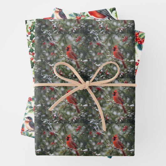 kerstvogels inpakpapier vel (In situ)