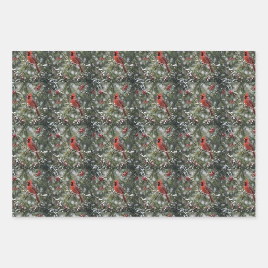 kerstvogels inpakpapier vel (Voorkant)