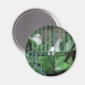 kerstvogels magneet (Voorkant / Achterkant)