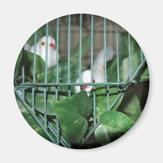 kerstvogels magneet (Voorkant)