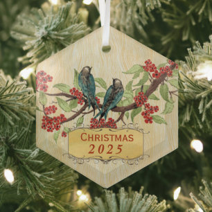  kerstvogels, rood Blauwgroen Glas Ornament