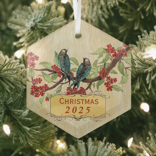  kerstvogels, rood Blauwgroen Glas Ornament (Insitu)