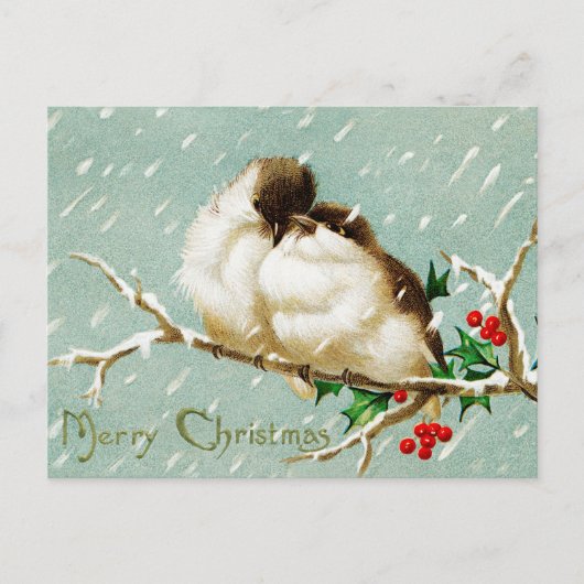  kerstvogels, trilling briefkaart (Voorkant)