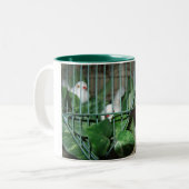 kerstvogels tweekleurige koffiemok (Voorkant links)