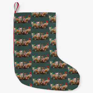 Kerstvosliefhebbers Familie Dier Kerstvakantie Kleine Kerstsok