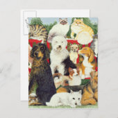 Kerstvrede Feestdagenkaart (Voorkant / Achterkant)