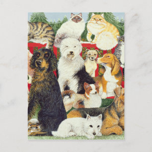 Kerstvrede Feestdagenkaart