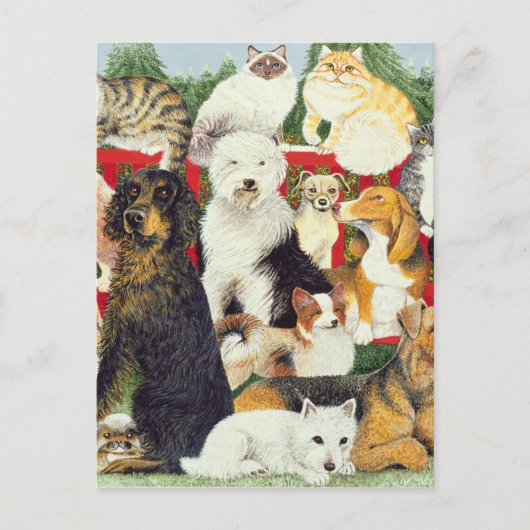 Kerstvrede Feestdagenkaart (Voorkant)