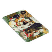 Kerstvrede Magneet (Rechterzijde)