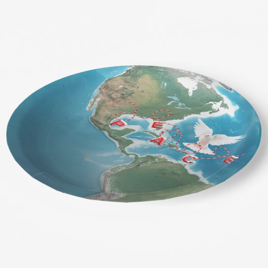 Kerstvrede met witte dove papieren bordje (Gekanteld)