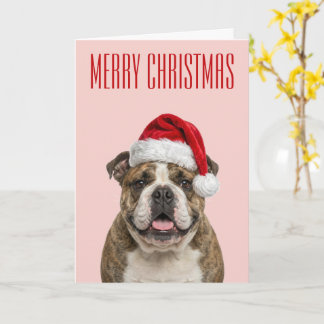 Kerstvreugde van de Bulldog Kaart