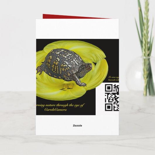 Kerstvuurtoren van het Punt Nobska Feestdagen Kaart (Achterkant)