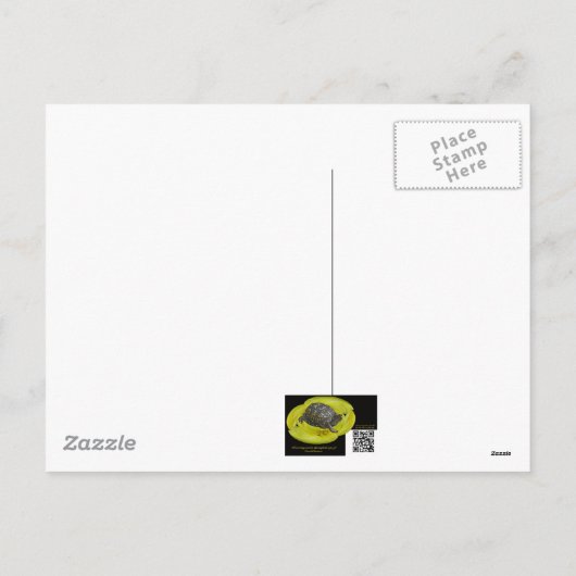 Kerstvuurtoren van het Punt Nobska Feestdagenkaart (Achterkant)