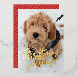 Kerstweelde in één foto met een knuffeldier folie feestdagenkaart