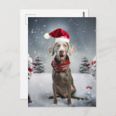 kerstweimaraner Dog Briefkaart (Voorkant / Achterkant)