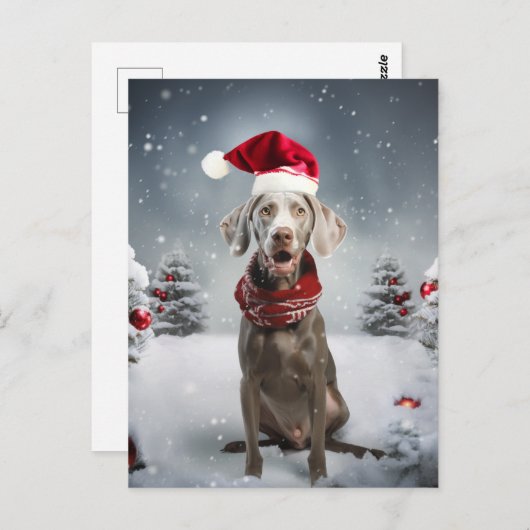 kerstweimaraner Dog Briefkaart (Voorkant / Achterkant)