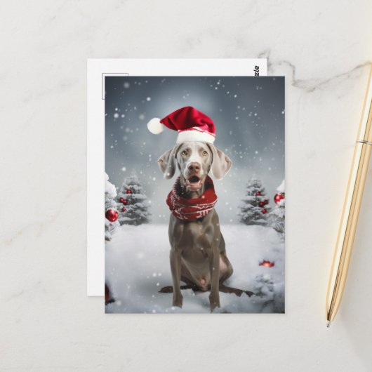 kerstweimaraner Dog Briefkaart (Voorkant / Achterkant in situ)