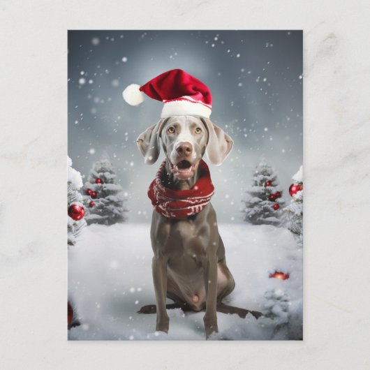 kerstweimaraner Dog Briefkaart (Voorkant)