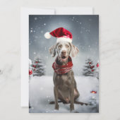 kerstweimaraner Dog Feestdagenkaart (Voorkant)