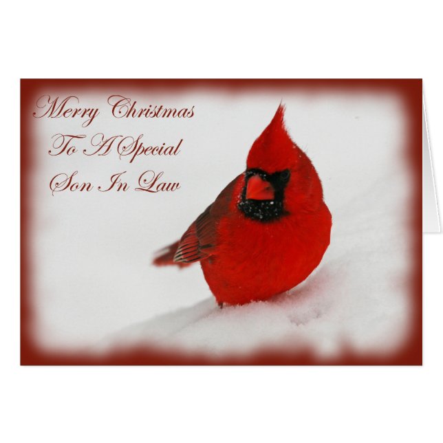 Kerstwens kardinale zoon in de wet (Voorkant Horizontaal)