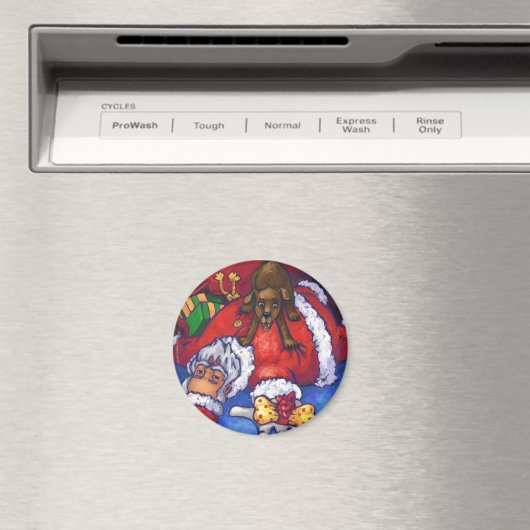 kerstwens magneet (Insitu (Vaatwasser))