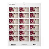 Kerstwensen Adreslabels voor kerstkaarten Etiket (Full Sheet)