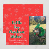 Kerstwensen voor veehond 1 afbeelding feestdagenkaart (Voorkant / Achterkant)