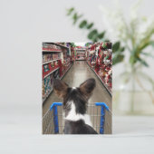 Kerstwinkelen in Chihuahua Briefkaart (Staand voorkant)