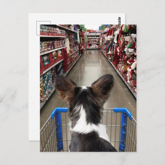 Kerstwinkelen in Chihuahua Briefkaart (Voorkant / Achterkant)