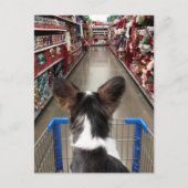 Kerstwinkelen in Chihuahua Briefkaart (Voorkant)