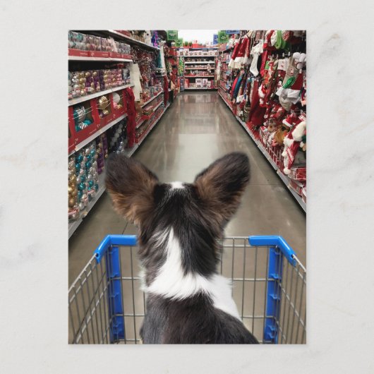 Kerstwinkelen in Chihuahua Briefkaart (Voorkant)