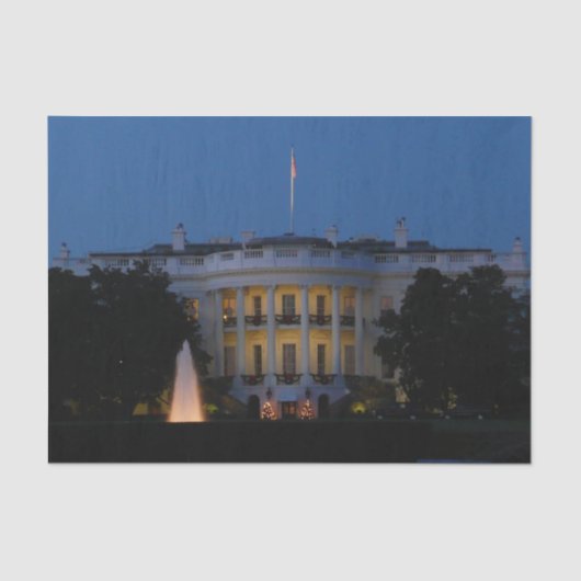 Kerstwit huis in Washington DC Tissuepapier (Voorkant)