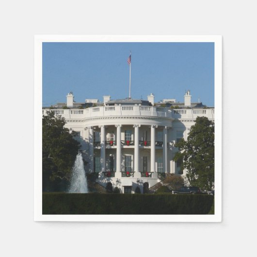 Kerstwit huis voor Feestdagen Washington DC Servet (Voorkant)