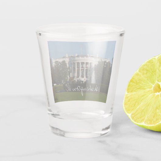Kerstwit huis voor Feestdagen Washington DC Shot Glas (Achterkant)