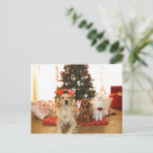 Kerstwitte kat met honden | Kerstboom Feestdagenkaart (Staand voorkant)