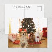 Kerstwitte kat met honden | Kerstboom Feestdagenkaart (Voorkant / Achterkant)