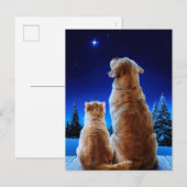 Kerstwonder van kat en hond uitnodiging briefkaart (Voorkant / Achterkant)