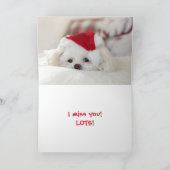 KERSTZAK MISS JE KAART (Binnen)