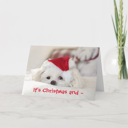 KERSTZAK MISS JE KAART (Voorkant)