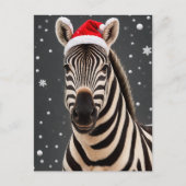 kerstZebra Briefkaart (Voorkant)
