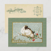 kerstzegeningen Sneeuwvogels  reproductie Feestdagenkaart (Voorkant / Achterkant)