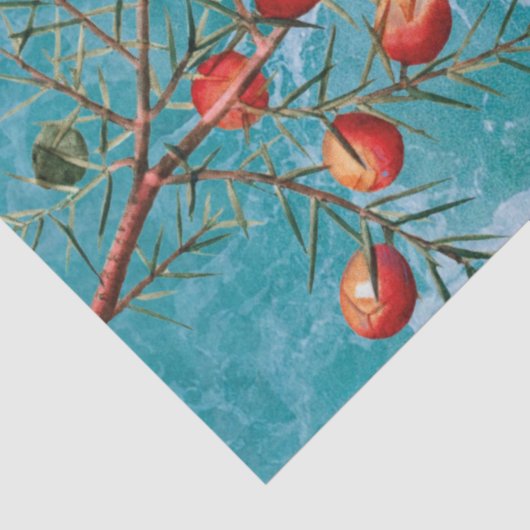 Kerstzomervakantiestrand Tissuepapier (Detail)