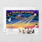 Kerstzonsopgang - Chihuahua's (7) Feestdagenkaart (Voorkant / Achterkant)