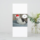 Kerstzwart en White Kitten (Staand voorkant)