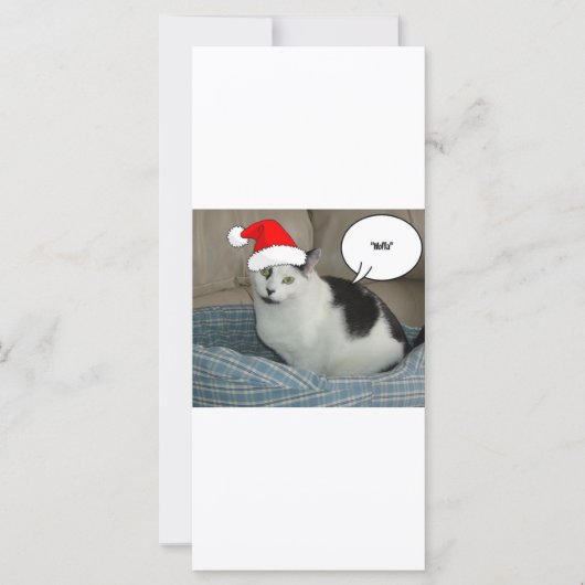 Kerstzwart en White Kitten (Voorkant)