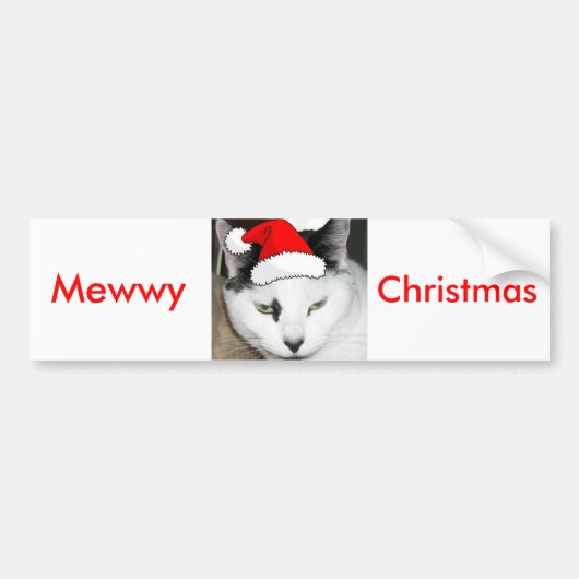Kerstzwart en White Kitten Bumpersticker (Voorkant)